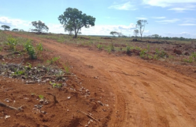 Fazenda para venda em Felixlandia